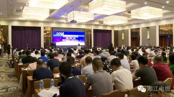 热烈祝贺湘江电缆荣获2016年中国电线电缆行业最具竞争力企业百强4.jpg